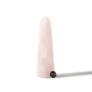 Rose Quartz Generator Unique #67 - 6 3/4" from The Rock Space