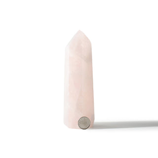 Rose Quartz Generator Unique #68 - 5 3/4" from The Rock Space