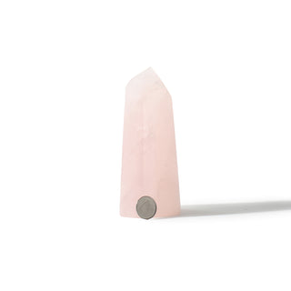 Rose Quartz Generator Unique #70 - 4 7/8" from The Rock Space