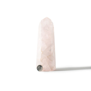 Rose Quartz Generator Unique #72 - 6" from The Rock Space