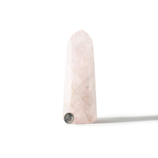 Rose Quartz Generator Unique #72 - 6" from The Rock Space