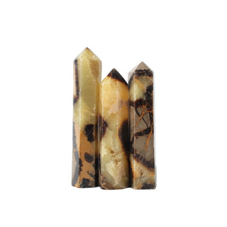 Septarian Generator #1 - 20g to 39.9g - 3 Pack from Stonebridge Imports