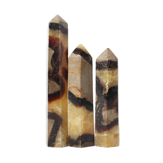 Septarian Generator #2 - 40g to 59.9g - 3 Pack from Stonebridge Imports