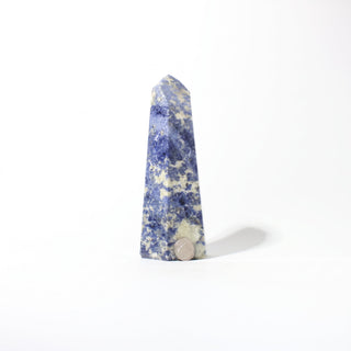 Sodalite Generator Unique #17 from Stonebridge Imports