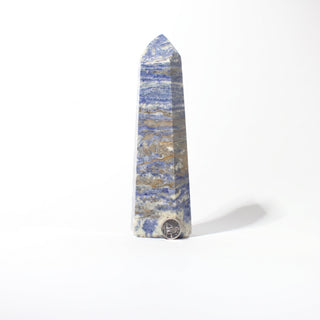 Sodalite Generator Unique #19 from Stonebridge Imports