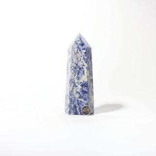 Sodalite Generator Unique #20 from Stonebridge Imports