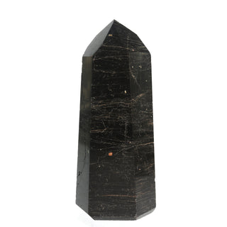 Black Tourmaline With Hematite Generator #8 Tall    from The Rock Space