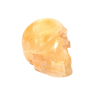Golden Healer Skull U#1 from The Rock Space