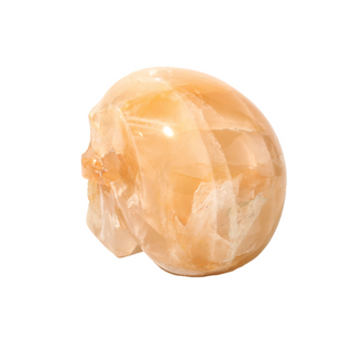 Golden Healer Skull U#1 from The Rock Space