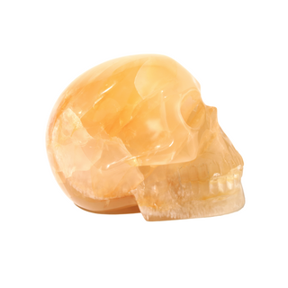 Golden Healer Skull U#1 from The Rock Space