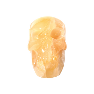 Golden Healer Skull U#1 from The Rock Space