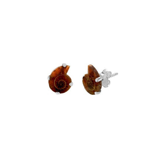 Ammonite Sterling Silver Stud - 3 pack    from Stonebridge Imports