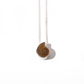 Ammonite Fossil Pendant    from Stonebridge Imports