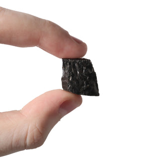 Shungite Elite Noble Pendant - Pack of 5 from The Rock Space