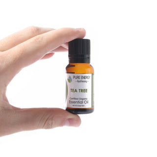 Tea Tree Essential Oil    from The Rock Space