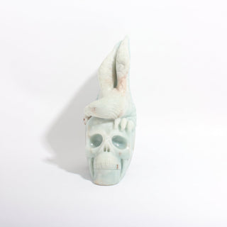 Amazonite Bird Skull Carving Unique from Stonebridge Imports