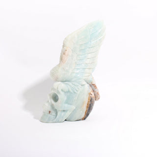 Amazonite Bird Skull Carving Unique from Stonebridge Imports