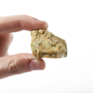 Lemon Dendrite Chips - Medium 1kg from The Rock Space