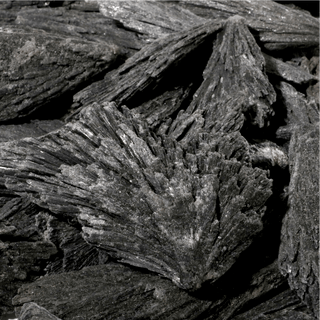 Kyanite Black Blades - Large 1Kg    from The Rock Space