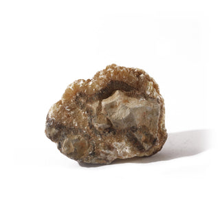 Septarian Chunk #1 from The Rock Space