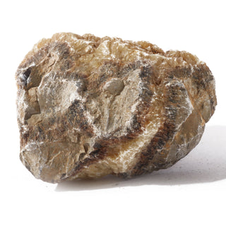 Septarian Chunk #1 from The Rock Space
