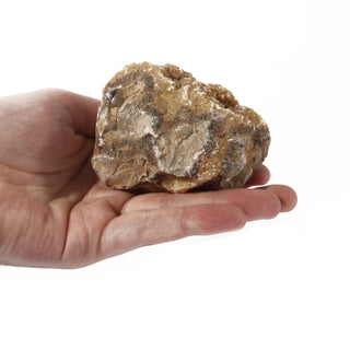 Septarian Chunk #1 from The Rock Space