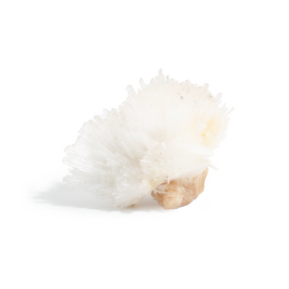 Scolecite from India - Unique #1 - 5 1/2" from The Rock Space