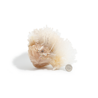 Scolecite from India - Unique #1 - 5 1/2" from The Rock Space