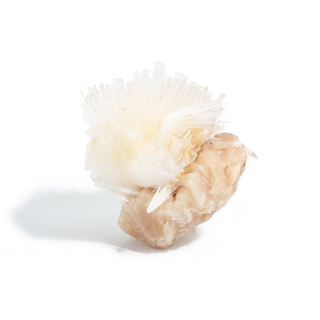 Scolecite from India - Unique #1 - 5 1/2" from The Rock Space