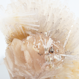 Scolecite from India - Unique #1 - 5 1/2" from The Rock Space