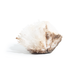 Scolecite from India - Unique #6 - 3" from The Rock Space