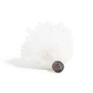 Scolecite from India - Unique #10 - 4" from The Rock Space