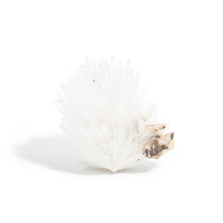 Scolecite from India - Unique #10 - 4" from The Rock Space