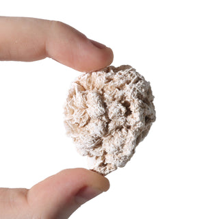 Selenite Desert Rose "Large" 500g Bag from The Rock Space
