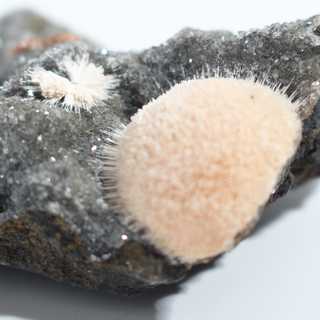 Thomsonite from India - Unique #3 - 3" from The Rock Space