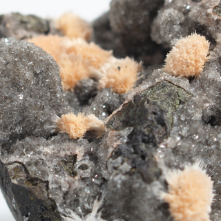 Thomsonite from India - Unique #4 - 4 1/2" from The Rock Space