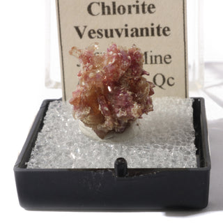 Chlorite Vesuvianite (Quebec) - Unique #1 (1/2" - 4g)    from The Rock Space