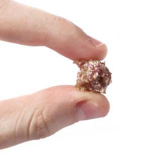 Chlorite Vesuvianite (Quebec) - Unique #1 (1/2" - 4g) from The Rock Space