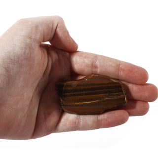 Tiger Eye Slice - Large - 1 1/2" to 3 1/2"    from The Rock Space