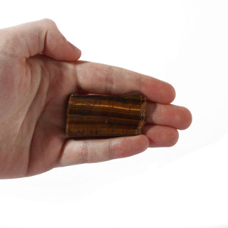 Tiger Eye Slices - 50g to 100g bags - Large from The Rock Space
