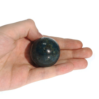 Apatite Blue Sphere - Extra Small #3 - 2"    from The Rock Space