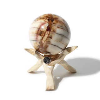 Banded Aragonite Sphere Unique #2 - 4" from The Rock Space