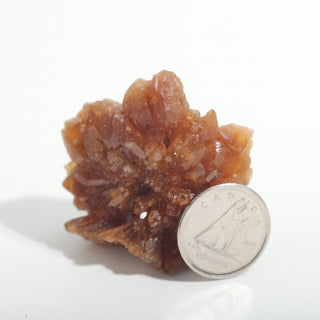 1 1/2" — Natural Citrine - Morocco, an amber crystal rosette beside a Canadian dime for scale, photographed on a clean white background. Stonebridge Imports.
