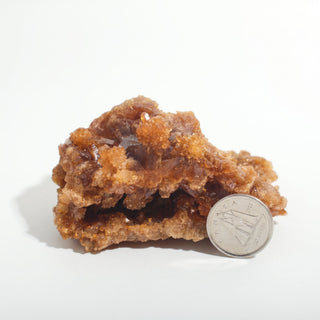 2" — Natural Citrine - Morocco, a wide amber crystal cluster with a hollow crystal-lined pocket, beside a Canadian dime for scale, photographed on a clean white background. Stonebridge Imports.