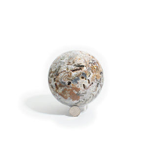 Sea Jasper Sphere Unique #1 from The Rock Space