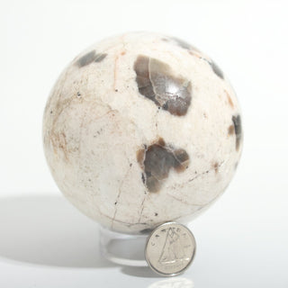 Chocolate Labradorite Sphere from Stonebridge Imports