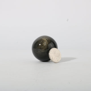 Obsidian Gold Sheen Sphere - Extra Small #1 - 1" from Stonebridge Imports