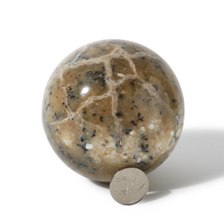Dendritic Opal Sphere Unique #4 - 3 5/8" from The Rock Space