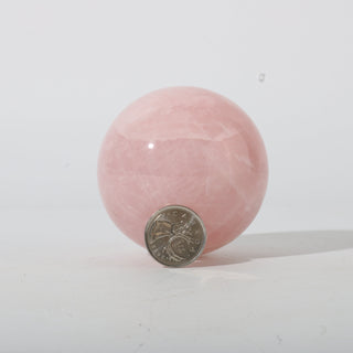 Rose Quartz A Sphere - Medium #1 - 2 3/4" from The Rock Space