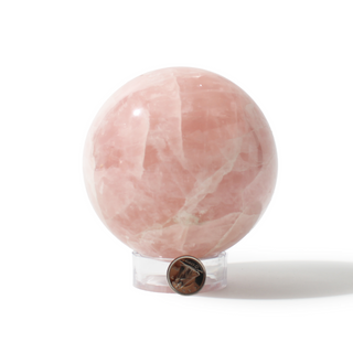 Rose Quartz Sphere Unique #182 - 3 3/4" from The Rock Space